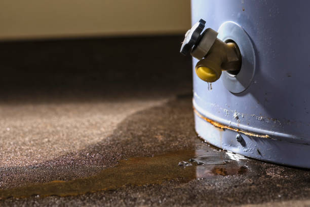 Best Professional water damage repair  in Kernersville, NC