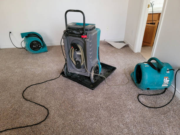 Best Water damage restoration near me  in Kernersville, NC