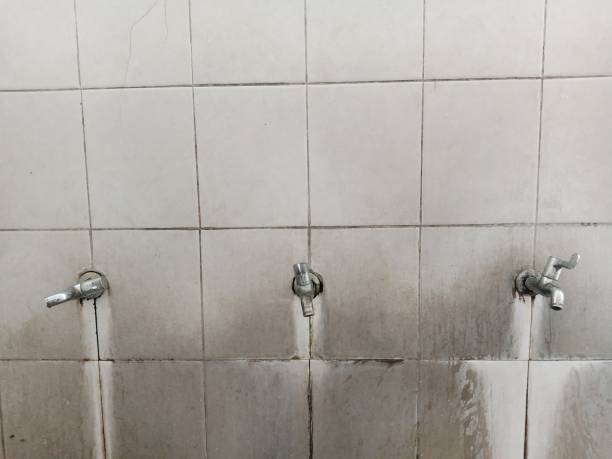 Best Flood restoration services  in Kernersville, NC