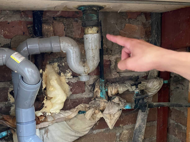 Best Mold removal after water damage  in Kernersville, NC