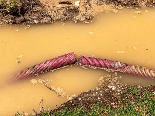 Best 24/7 water damage repair  in Kernersville, NC