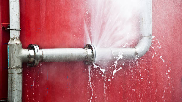 Best Carpet water damage restoration  in Kernersville, NC